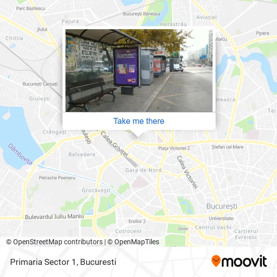 Primaria Sector 1 map