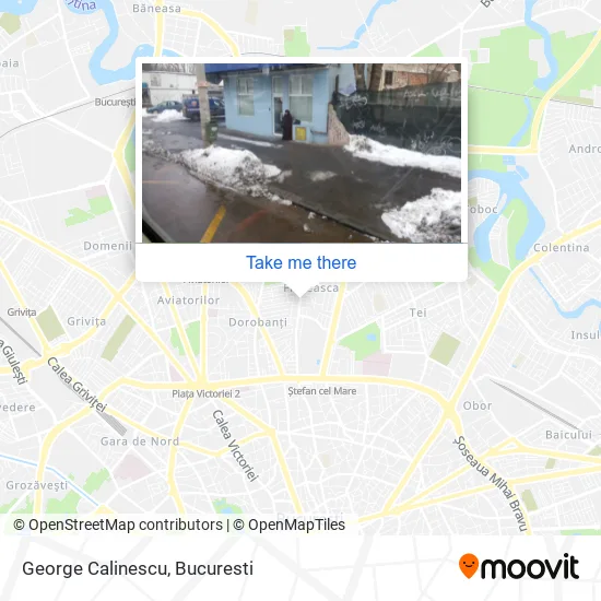 George Calinescu map