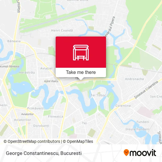 George Constantinescu map