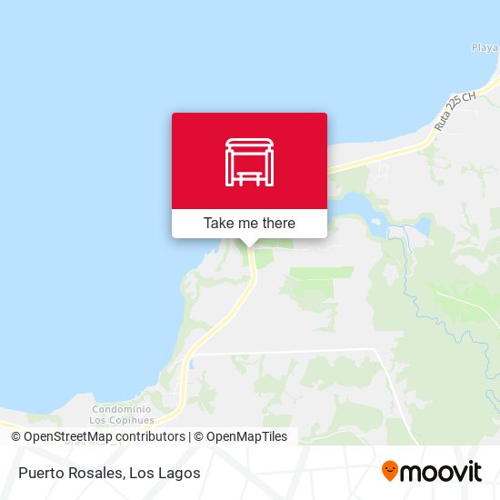 Puerto Rosales map