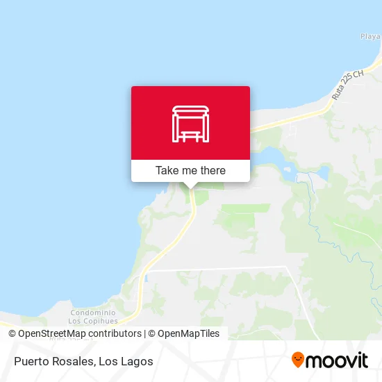 Puerto Rosales map