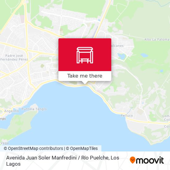 Avenida Juan Soler Manfredini / Río Puelche map