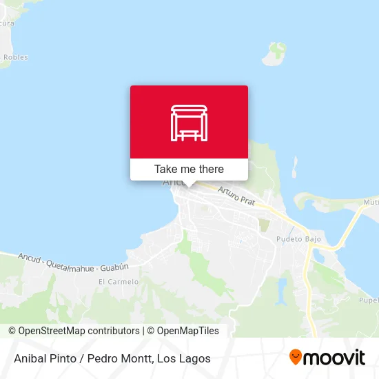 Anibal Pinto / Pedro Montt map