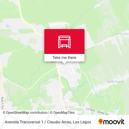 Mapa de Avenida Transversal 1 / Claudio Arrau
