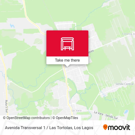 Avenida Transversal 1 / Las Tortolas map