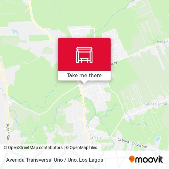 Avenida Transversal Uno / Uno map
