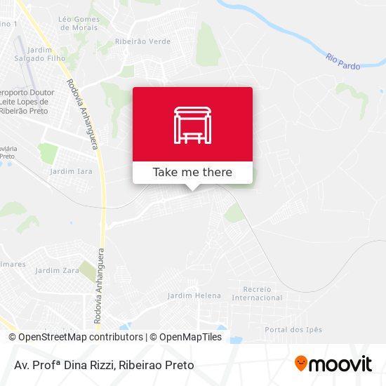 Av. Profª Dina Rizzi map