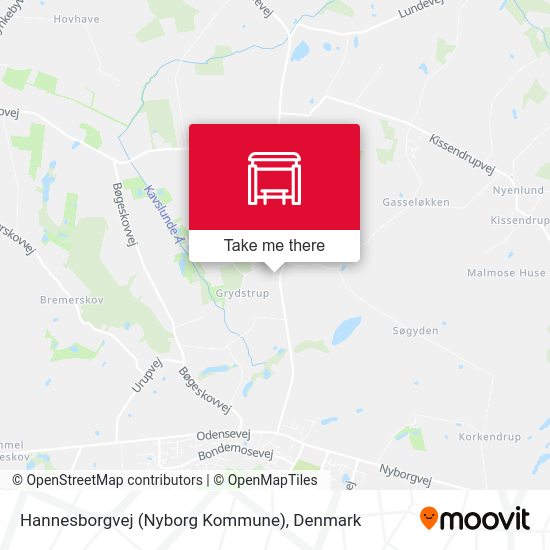 Hannesborgvej (Nyborg Kommune) map
