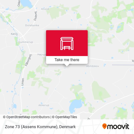 Zone 73 (Assens Kommune) map