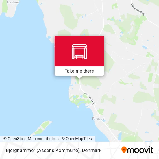 Bjerghammer (Assens Kommune) map