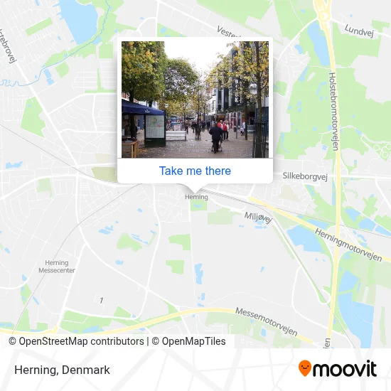 Herning map