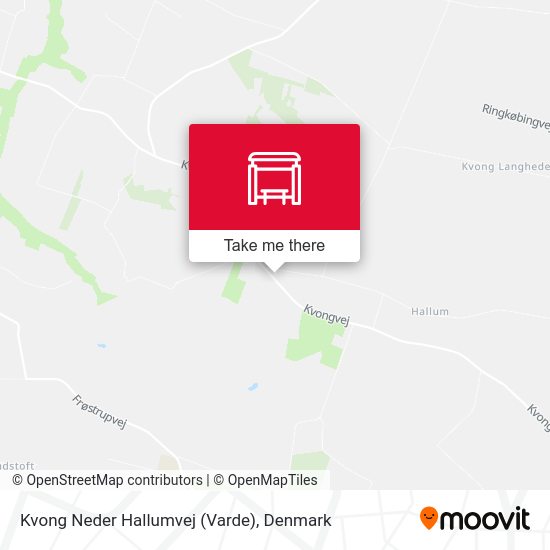 Kvong Neder Hallumvej (Varde) map