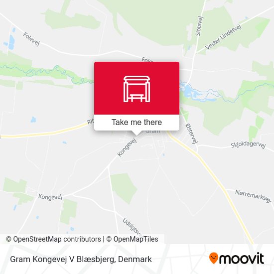 Gram Kongevej V Blæsbjerg map