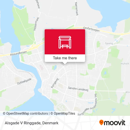 Alsgade V Ringgade map