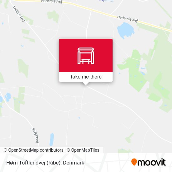 Høm Toftlundvej (Ribe) map