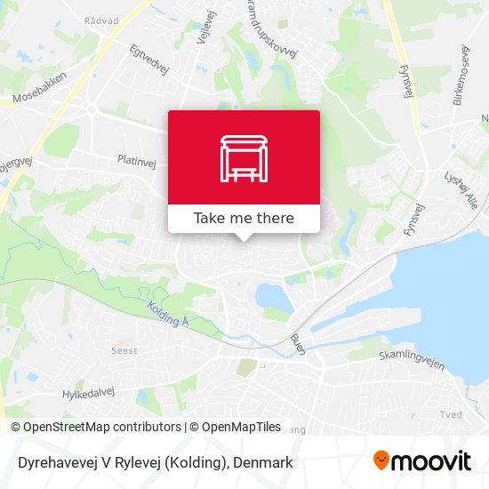 Dyrehavevej V Rylevej (Kolding) map
