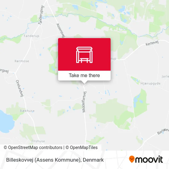 Billeskovvej (Assens Kommune) map