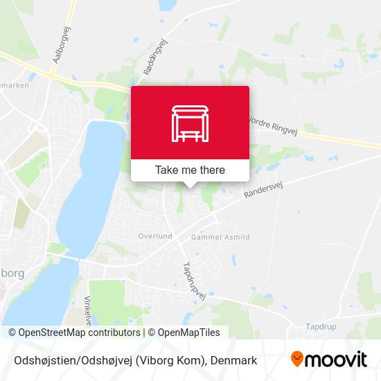Odshøjstien / Odshøjvej (Viborg Kom) map