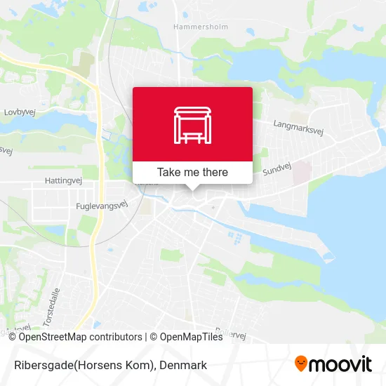 Ribersgade(Horsens Kom) map