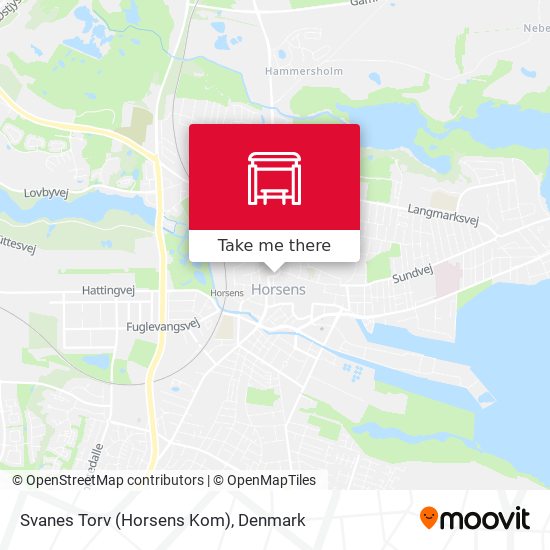 Svanes Torv (Horsens Kom) map