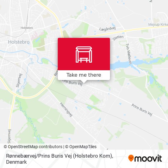Rønnebærvej / Prins Buris Vej (Holstebro Kom) map