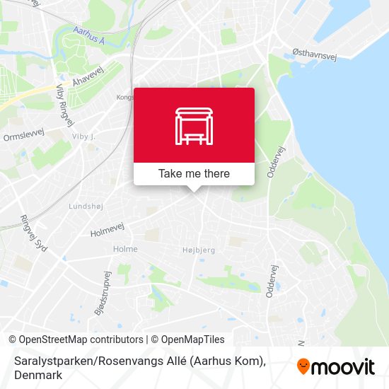 Saralystparken / Rosenvangs Allé (Aarhus Kom) map