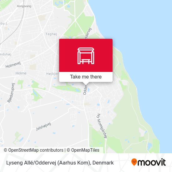 Lyseng Allé / Oddervej (Aarhus Kom) map