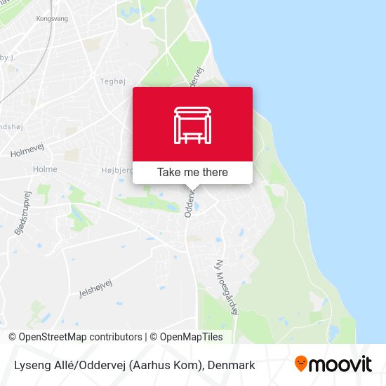 Lyseng Allé / Oddervej (Aarhus Kom) map