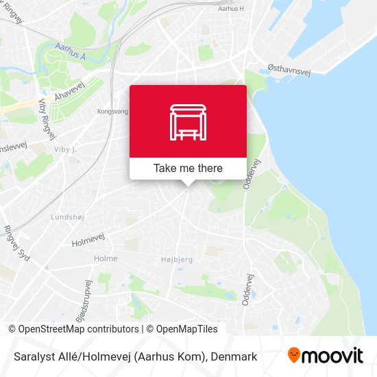 Saralyst Allé / Holmevej (Aarhus Kom) map