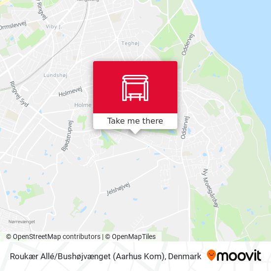Roukær Allé / Bushøjvænget (Aarhus Kom) map