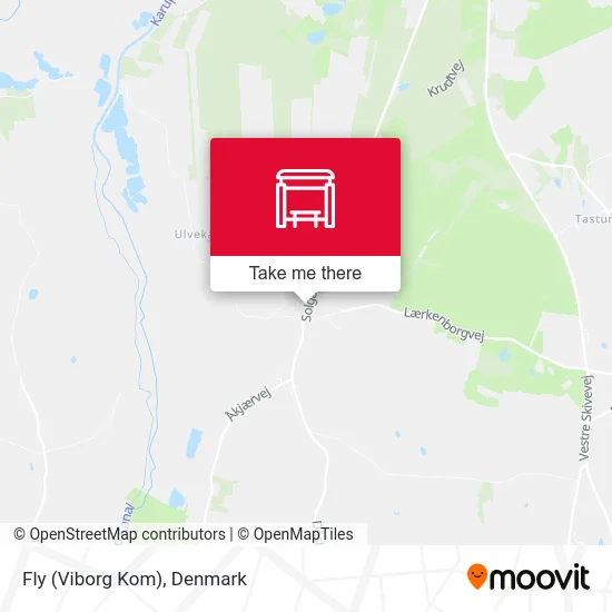 Fly (Viborg Kom) map