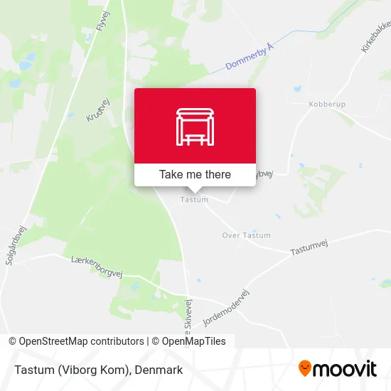 Tastum (Viborg Kom) map