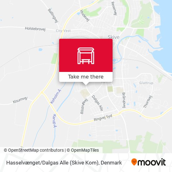 Hasselvænget / Dalgas Alle (Skive Kom) map