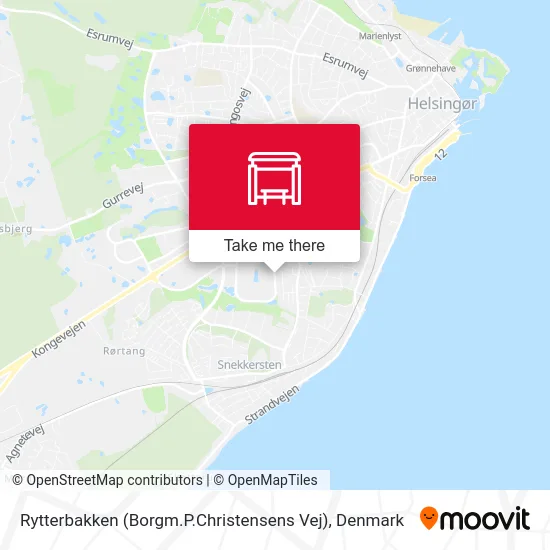 Rytterbakken (Borgm.P.Christensens Vej) map