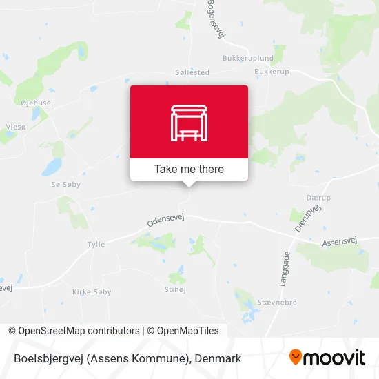 Boelsbjergvej (Assens Kommune) map