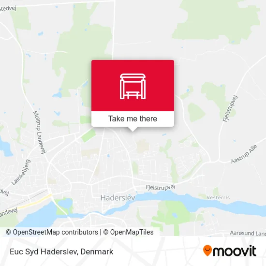 Euc Syd Haderslev map