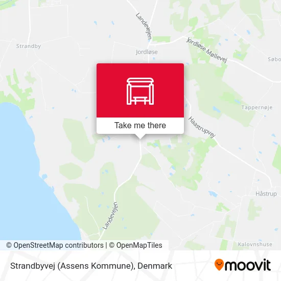 Strandbyvej (Assens Kommune) map