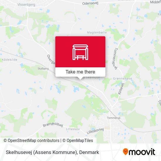 Skelhusevej (Assens Kommune) map