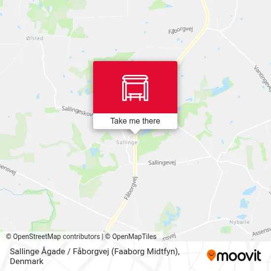 Sallinge Ågade / Fåborgvej (Faaborg Midtfyn) map