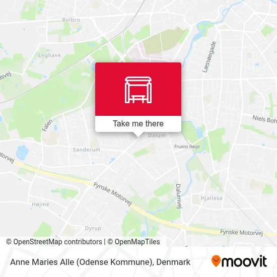 Anne Maries Alle (Odense Kommune) map