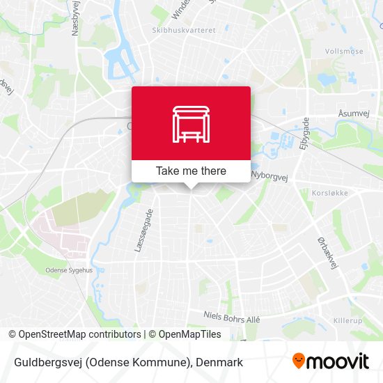 Guldbergsvej (Odense Kommune) map