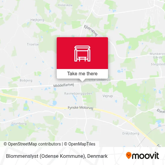 Blommenslyst (Odense Kommune) map