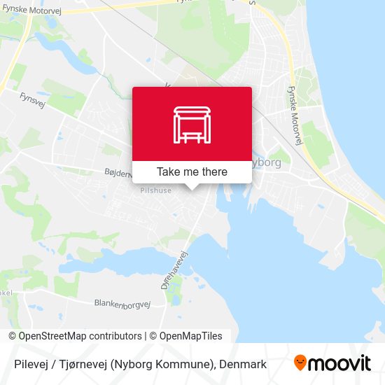 Pilevej / Tjørnevej (Nyborg Kommune) map