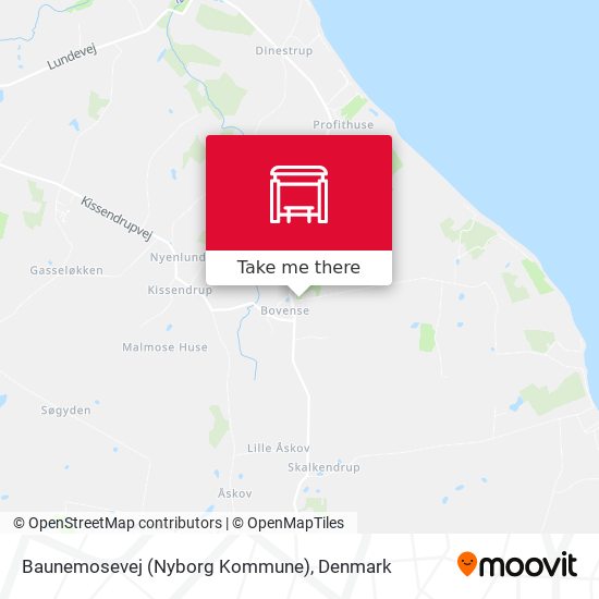 Baunemosevej (Nyborg Kommune) map