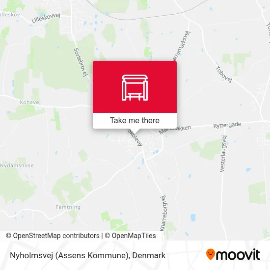 Nyholmsvej (Assens Kommune) map