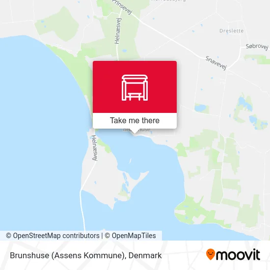 Brunshuse (Assens Kommune) map