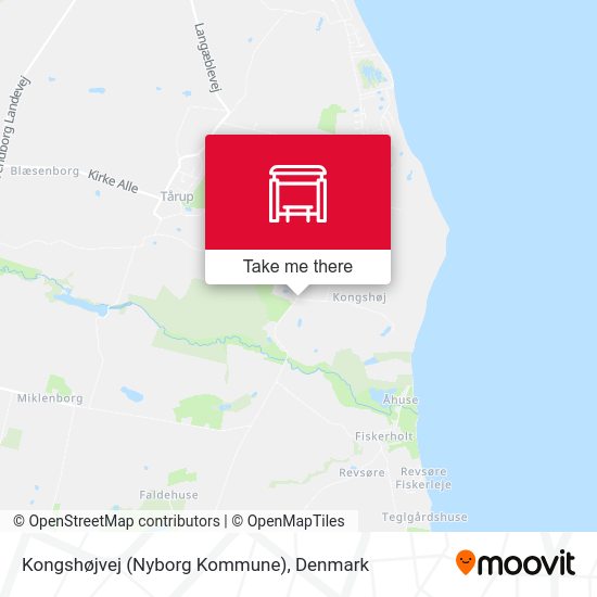 Kongshøjvej (Nyborg Kommune) map