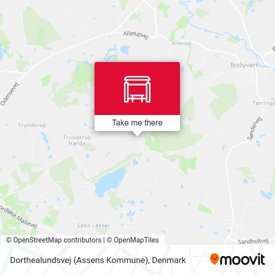 Dorthealundsvej (Assens Kommune) map