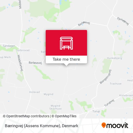 Bæringvej (Assens Kommune) map