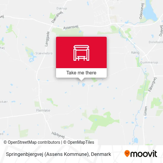 Springenbjergvej (Assens Kommune) map